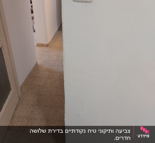 קיר צבוע עם מתג חשמל